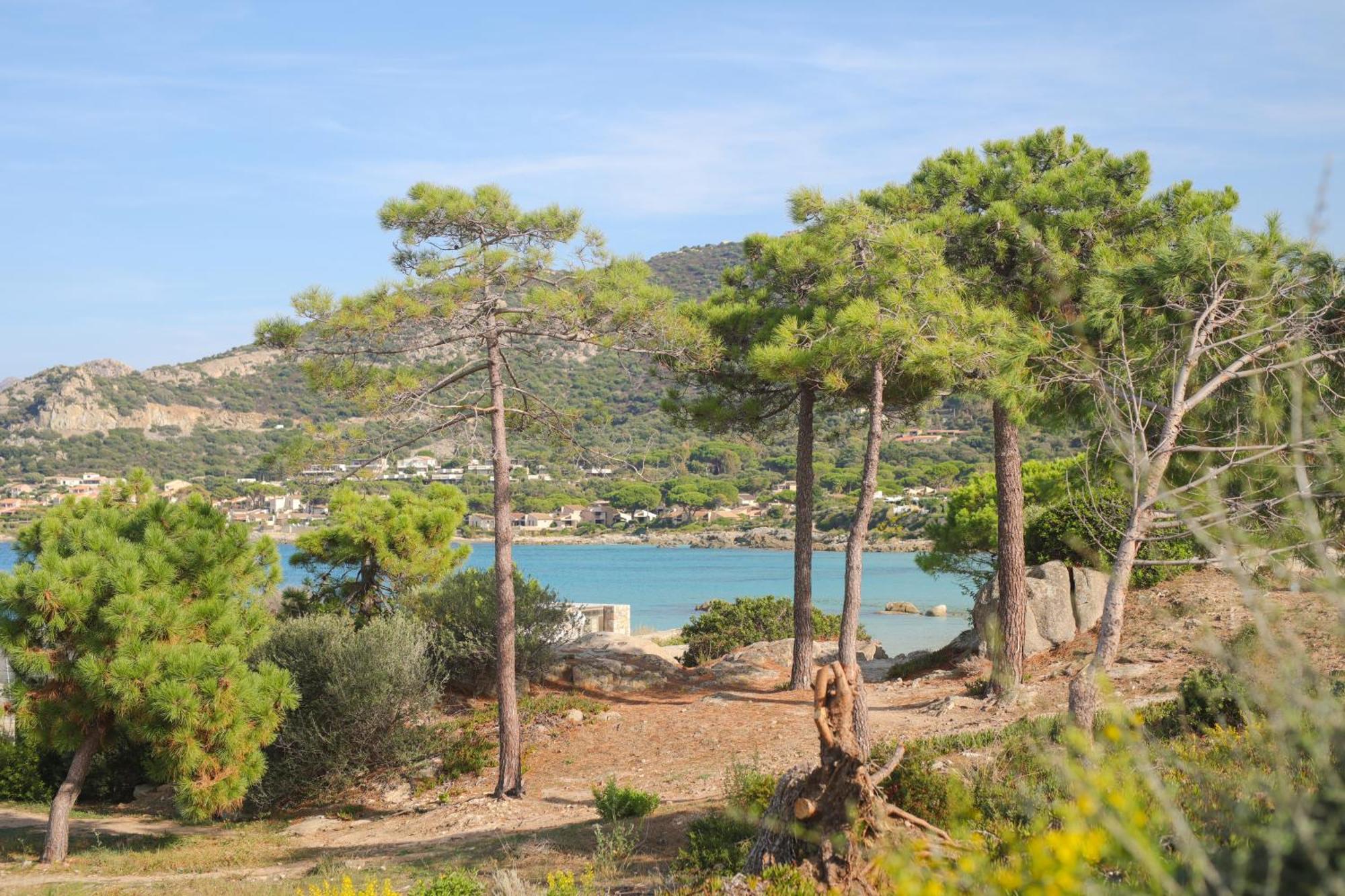 Appartement La Balagne , Bord De Mer, Grande Terrasse, Sant'Ambroggio Lumio  Exterior foto